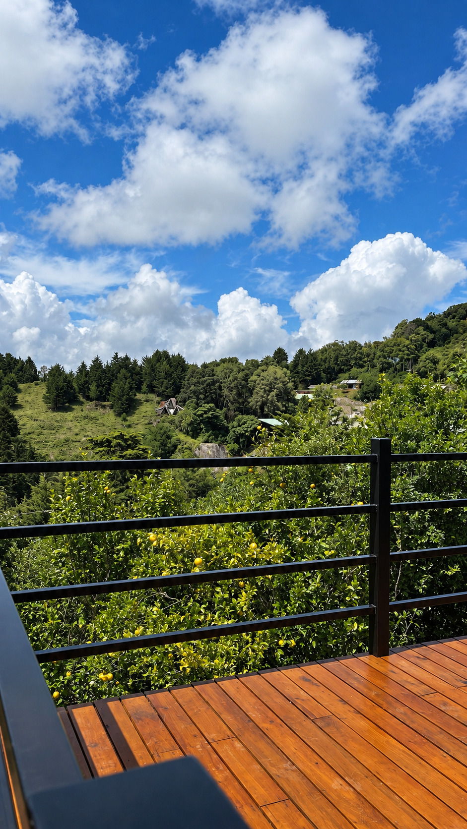 Terraza de madera con baranda negra y vista a la montaña con limoneros, pinos y nubes